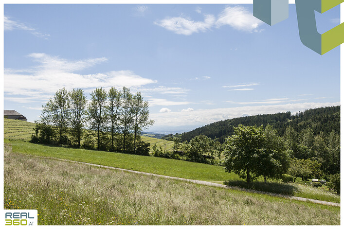 Ausblick vom Grundstück Richtung Süden